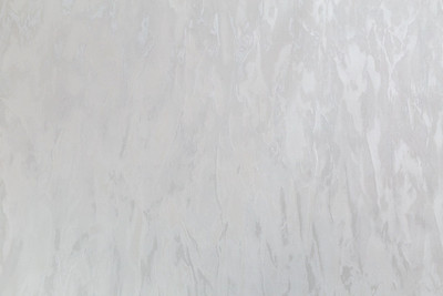 Виниловые обои Палитра Home Color Taina lesa PRO HC72464-14