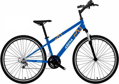 Велосипед Arena Flash 24 2026 (12, синий)