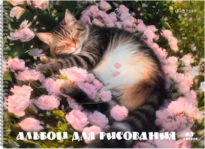 Альбом для рисования Listoff Котик в цветах / АСБ402648