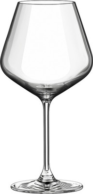 Бокал Rona Le Vin 6605/1000