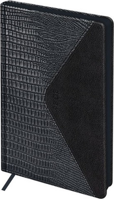 Ежедневник BG Reptile. Steel А5 / DdА5_09611  (176л)