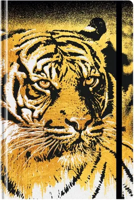 Ежедневник BG Golden tiger А5 / Ен5_7БЦ128_лм_р 12385 (128л)