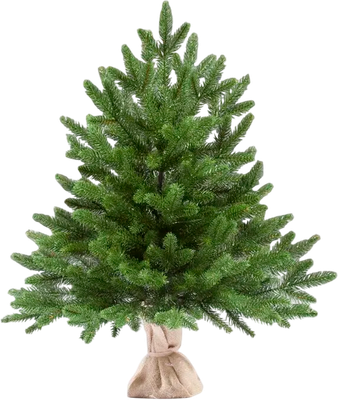 Ель искусственная National Tree Company Авелина 60см / Авл-60