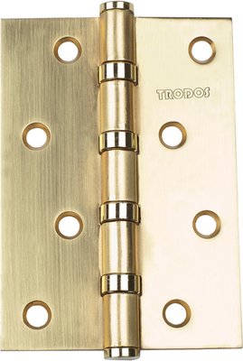 Петля дверная Trodos 100x75x2.5 4ВВ SB (золото матовый, флоупак)