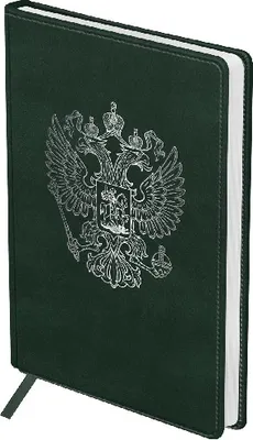 Ежедневник BG Орел А5 / DuA5_61065 (160л)