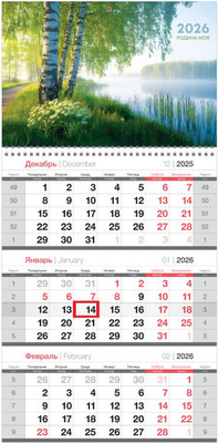 Календарь настенный BG Любовь к Родине / 380917 (2026г)