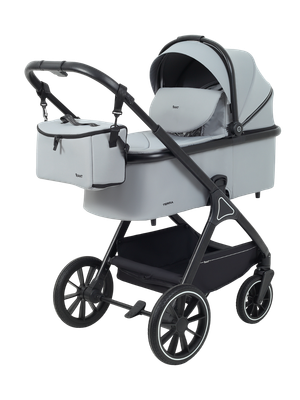 Детская универсальная коляска Rant Basic Terra 2 в 1 / RA163 (серый)