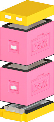 Улей Lyson Дадан На 6 Рамок / WDD102 (розовый/желтый)