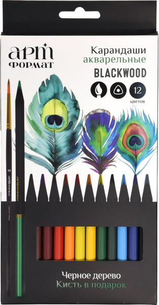 Изображение товара Набор акварельных карандашей АртФормат Blackwood / AF03-061-12 (12цв)