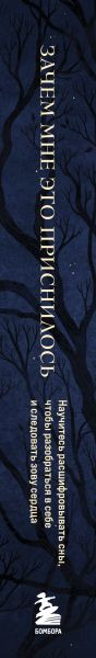 Изображение товара Книга Бомбора Зачем мне это приснилось (Марчиано Лиза и др. 9785042173103)
