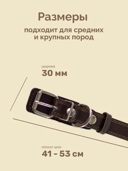 Изображение товара Ошейник ZOONIK Премиум классик / 10126-2 (коричневый)