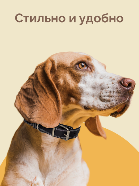 Изображение товара Ошейник ZOONIK Премиум классик / 10132-1 (черный)