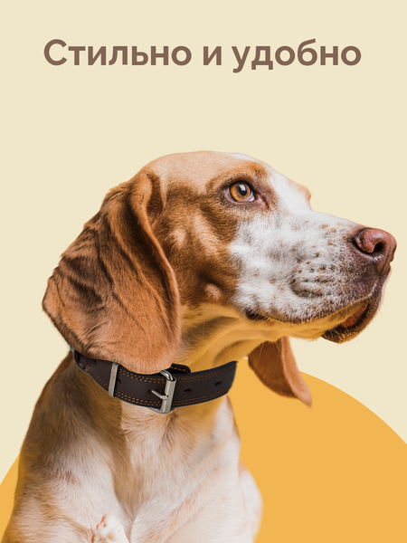 Изображение товара Ошейник ZOONIK Премиум классик / 10132-2 (коричневый)