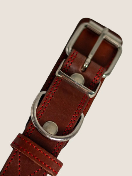 Изображение товара Ошейник ZOONIK Премиум классик / 10132-3 (коньячный)