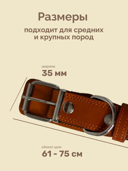 Изображение товара Ошейник ZOONIK Премиум классик / 10132-4 (апельсин)