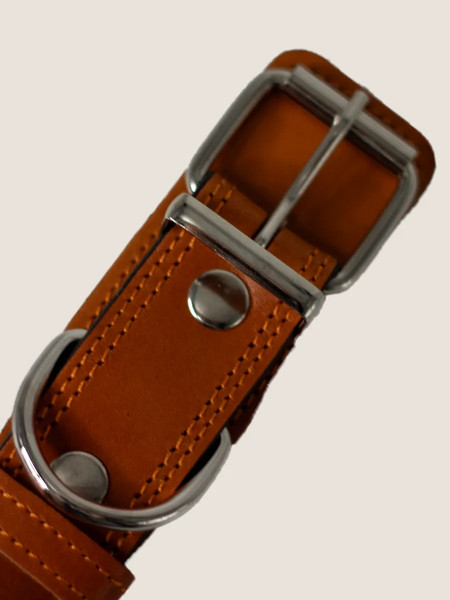 Изображение товара Ошейник ZOONIK Премиум классик / 10132-4 (апельсин)