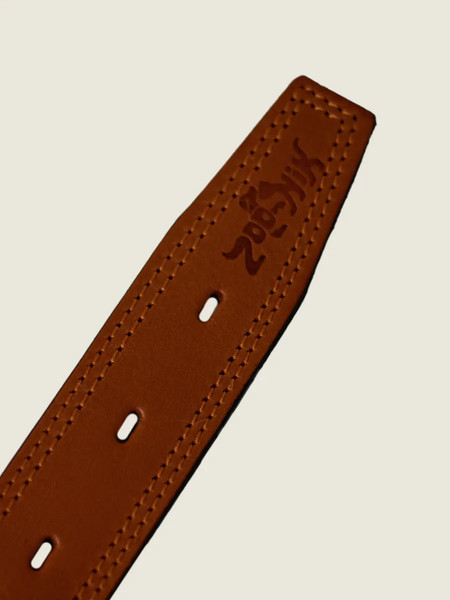 Изображение товара Ошейник ZOONIK Премиум классик / 10132-4 (апельсин)