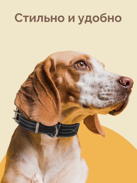 Изображение товара Ошейник ZOONIK Премиум классик / 10133-1 (черный)