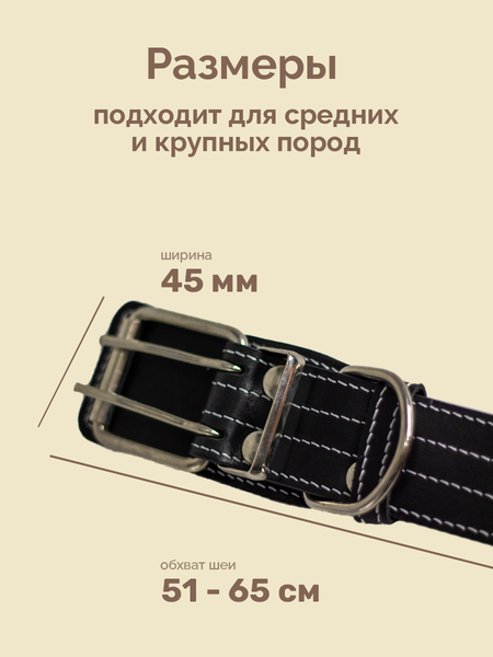 Изображение товара Ошейник ZOONIK Премиум классик / 10133-1 (черный)