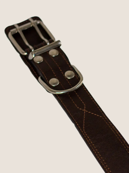 Изображение товара Ошейник ZOONIK Премиум классик / 10134-2 (коричневый)