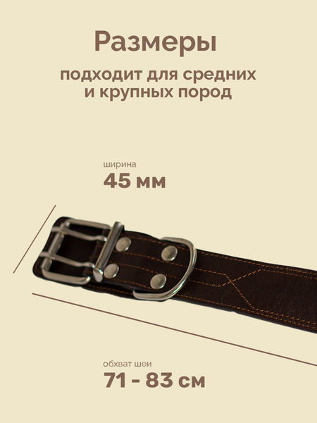 Изображение товара Ошейник ZOONIK Премиум классик / 10134-2 (коричневый)