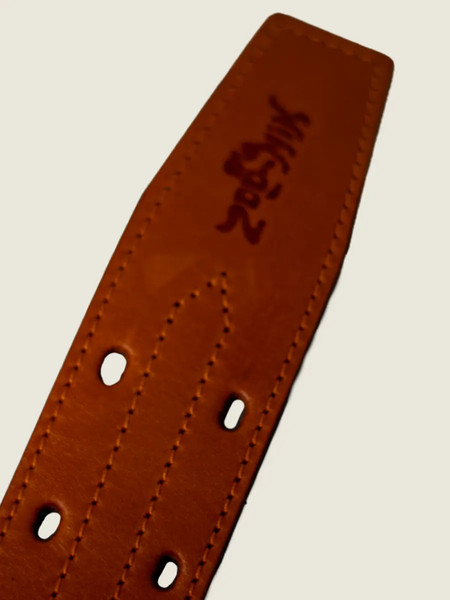 Изображение товара Ошейник ZOONIK Премиум классик / 10134-4 (апельсин)