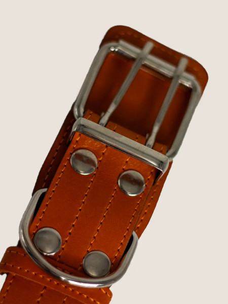 Изображение товара Ошейник ZOONIK Премиум классик / 10134-4 (апельсин)