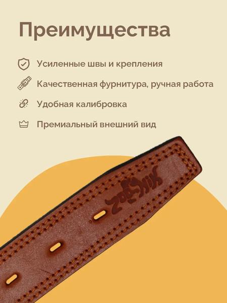 Изображение товара Ошейник ZOONIK Премиум классик / 10129-4 (апельсин)