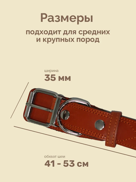 Изображение товара Ошейник ZOONIK Премиум классик / 10129-4 (апельсин)