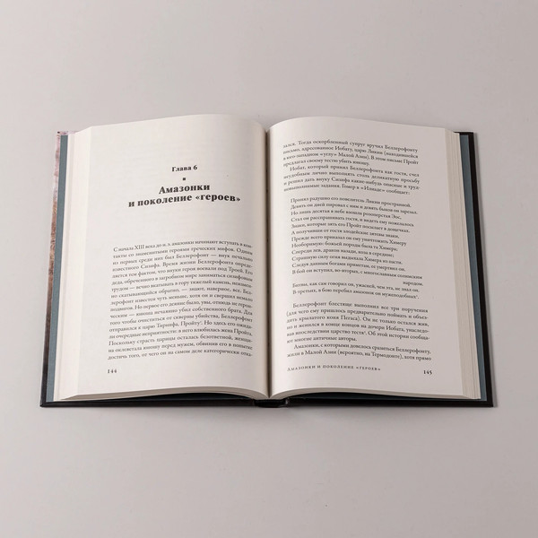 Изображение товара Книга Альпина Дочери Ареса. История античных амазонок (Ивик Олег 9785916719932)