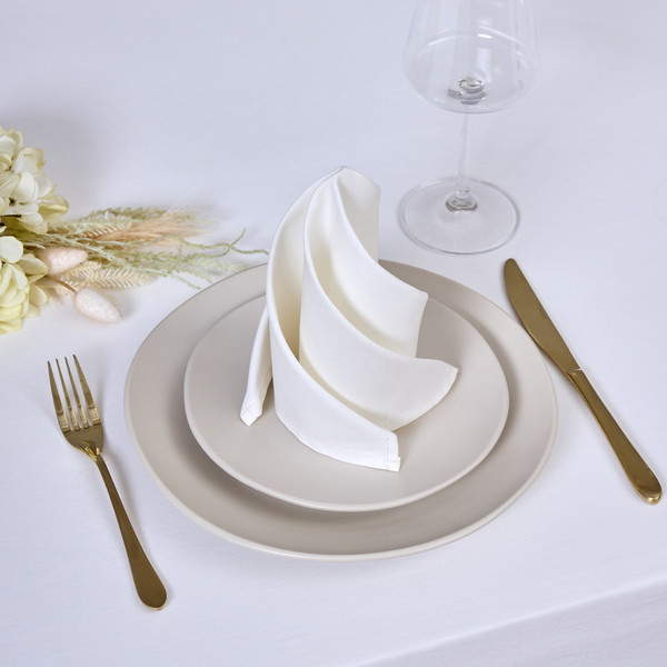 Изображение товара Сервировочная салфетка Santalino 850-746-8 (2шт)