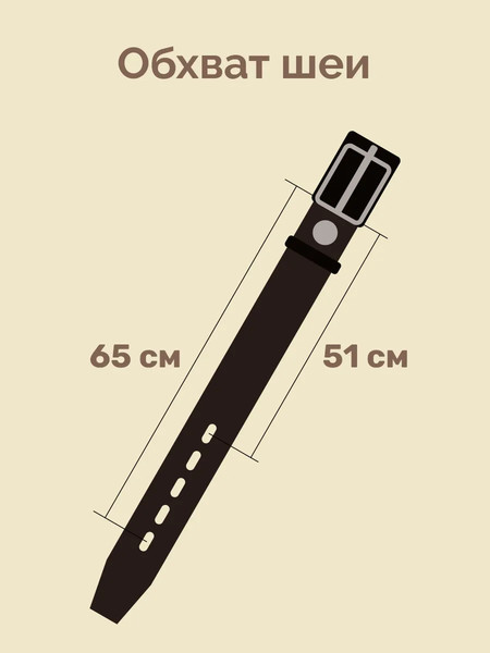 Изображение товара Ошейник ZOONIK Премиум классик / 10131-2 (коричневый)