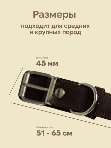 Изображение товара Ошейник ZOONIK Премиум классик / 10131-2 (коричневый)