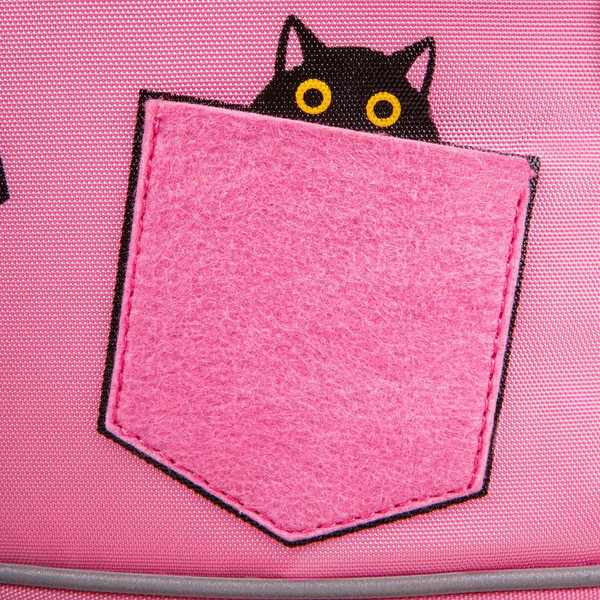 Изображение товара Школьный рюкзак Grizzly RG-663-2 (розовый)