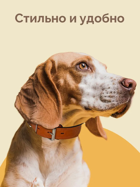 Изображение товара Ошейник ZOONIK Премиум классик / 10131-4 (апельсин)