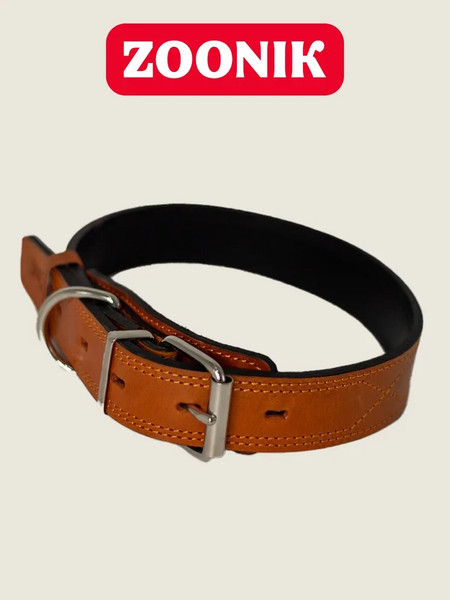 Изображение товара Ошейник ZOONIK Премиум классик / 10131-4 (апельсин)