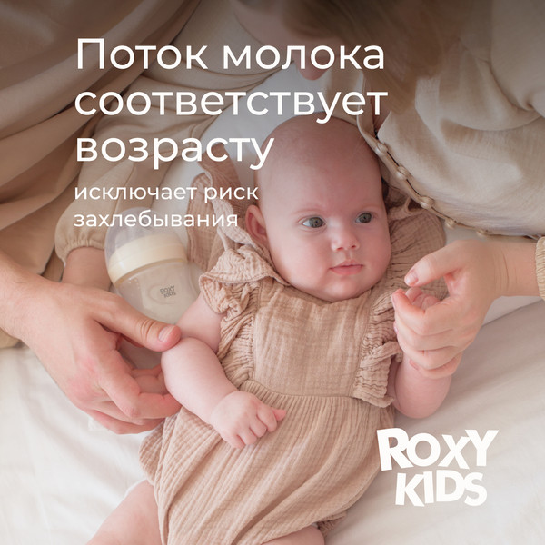 Изображение товара Набор сосок ROXY-KIDS Natural / RBTL-004-S (2шт)