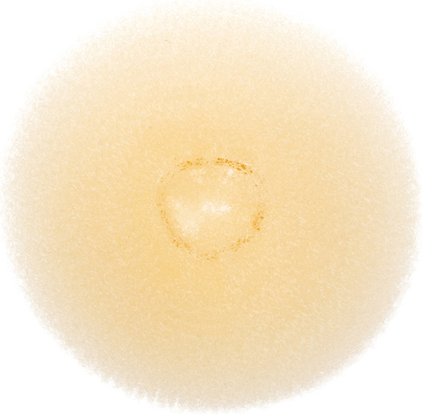 Изображение товара Валик для волос Dewal HO-5321S/10 (блондин)