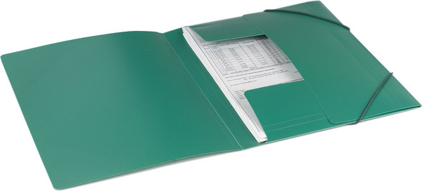 Изображение товара Папка для бумаг Brauberg Стандарт / 221621 (зеленый)