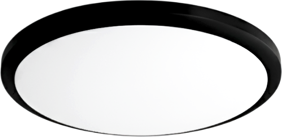 Изображение товара Потолочный светильник Truenergy 11603