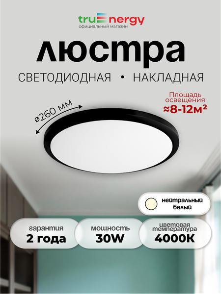 Изображение товара Потолочный светильник Truenergy 11603