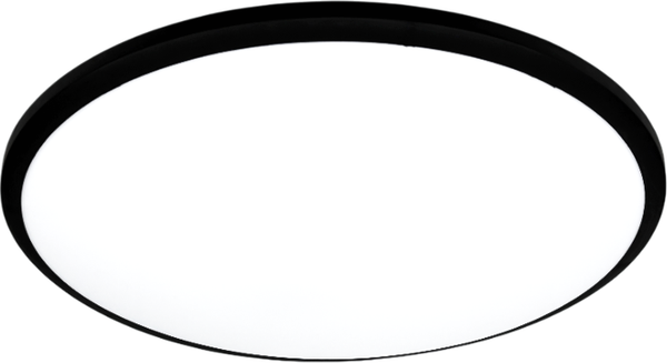 Изображение товара Потолочный светильник Truenergy 11605