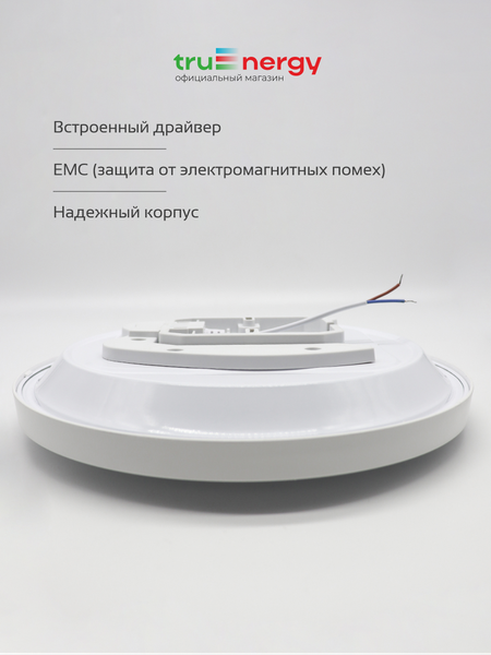 Изображение товара Потолочный светильник Truenergy 11606