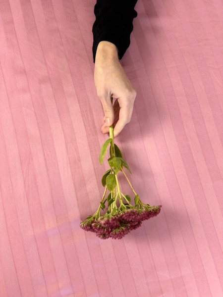 Изображение товара Комплект постельного белья Samsara Страйп-сатин 2сп 70х70 (пудра, простыня на резинке)