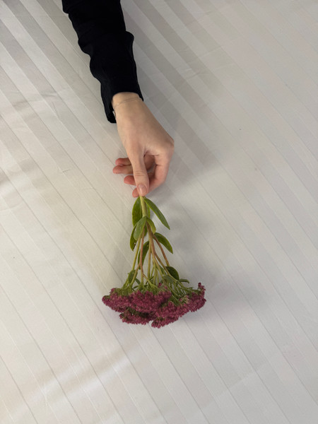 Изображение товара Комплект постельного белья Samsara Страйп-сатин 2сп 50х70 (белый, простыня на резинке)