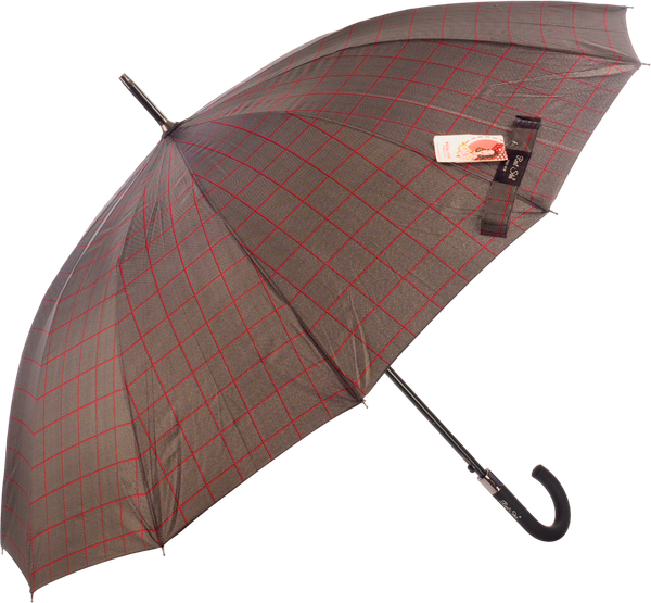 Изображение товара Зонт-трость RST Umbrella 1908-C4