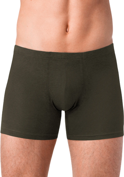 Изображение товара Трусы мужские Alfa Man 6304 (р. 102-106, темно-коричневый)