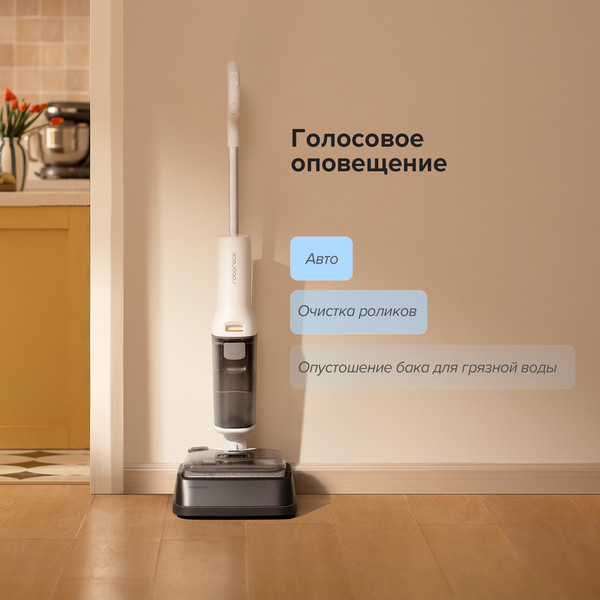 Изображение товара Вертикальный пылесос Roborock Wet And Dry Vacuum Cleaner F25 WD5M1A / WD5M1A512-02 (черный)