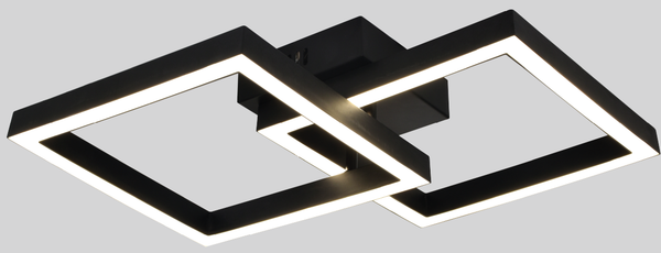 Изображение товара Потолочный светильник ESCADA 10258/2LED (черный)