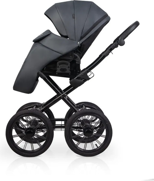 Изображение товара Детская универсальная коляска Riko Montana X Ecco Prestige 2 В 1 Basic (графит)
